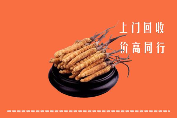 高价求购：赫山回收散虫草
