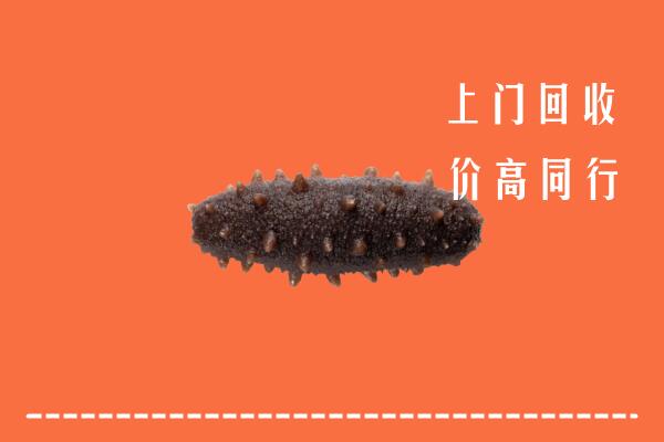 高价求购：赫山回收海参